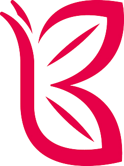 Red Butterfly Play School logo